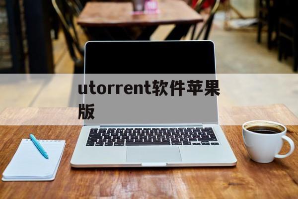 utorrent软件苹果版(utorrent中文版苹果app)-第3张图片-QuickQ官网