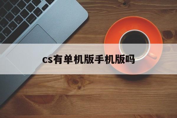 cs有单机版手机版吗(cs单机版手机版中文版)-第3张图片-QuickQ官网