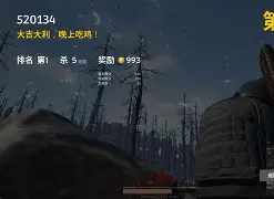 安卓版的吃鸡怎么开语音(手机吃鸡怎么开启语音对话)-第5张图片-QuickQ官网