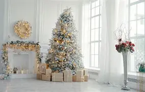 专属圣诞树安卓破解版的简单介绍-第4张图片-QuickQ官网