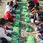 程念宜补作业版收手机版(卷王校长在线课改时光语小说免费阅读)-第5张图片-QuickQ官网