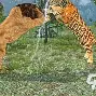 老虎地图手机版lr(老虎地图手机版免费下载)