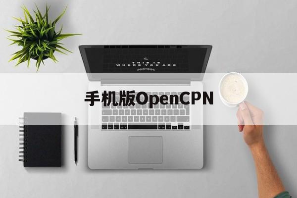 手机版OpenCPN(手机版圣经在线阅读助手)-第1张图片-SafeW