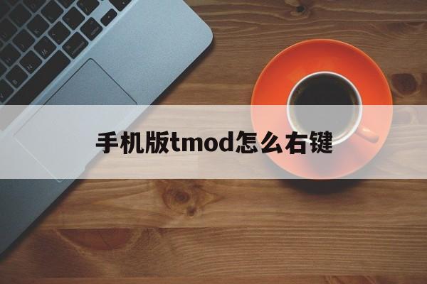 手机版tmod怎么右键(tmod版本过低怎么更新)-第4张图片-SafeW