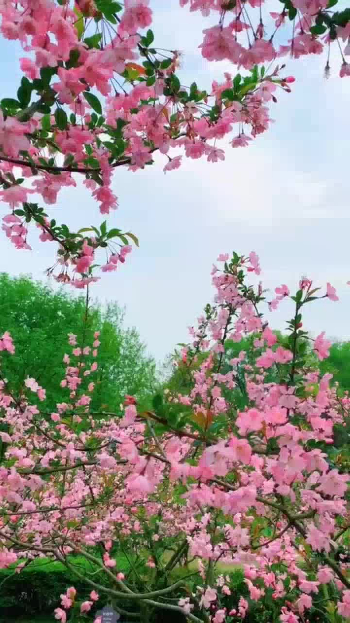 手机新浪网普通版(手机新浪网安装下载)-第4张图片-QuickQ官网 手机新浪网普通版(手机新浪网安装下载)-第4张图片-QuickQ官网