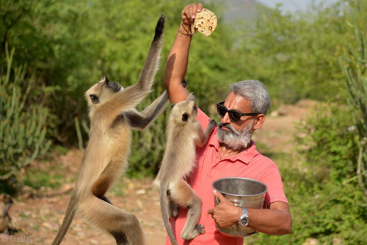 别喂猴子安卓版贴吧下载(别喂猴子中文手机版下载破解)-第3张图片-QuickQ官网